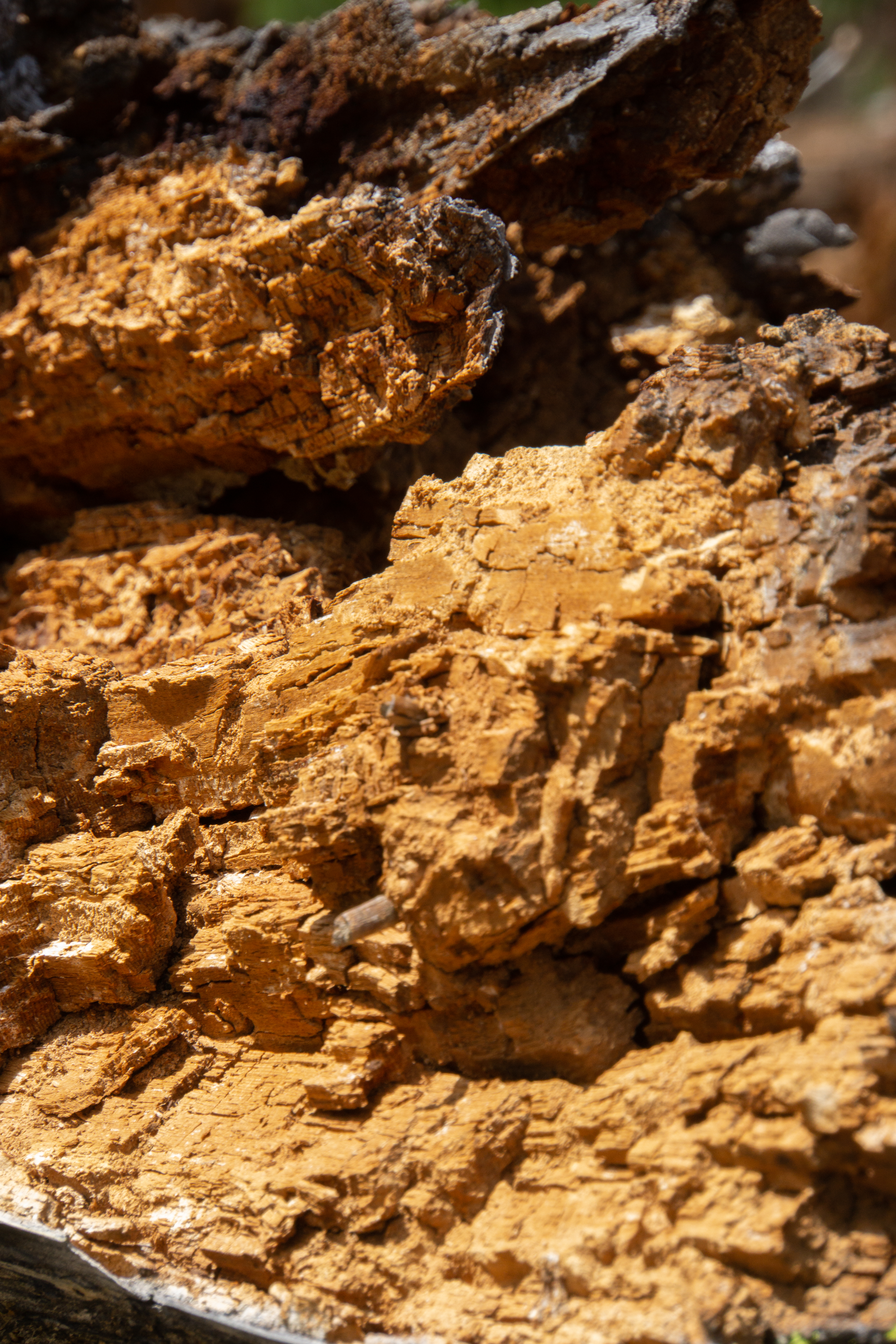 US National Parks 2022 34